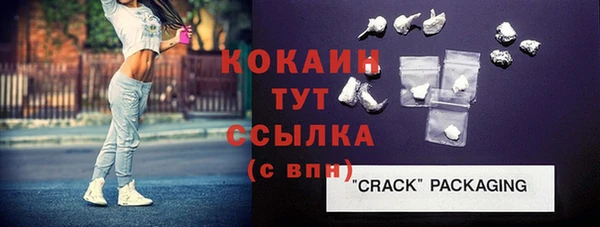 молекула духа Ладушкин