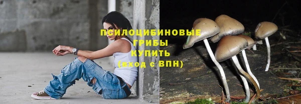 стафф Лабытнанги