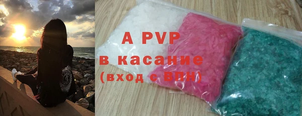 молекула духа Ладушкин