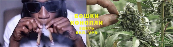 молекула духа Ладушкин