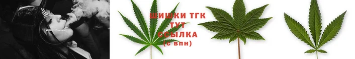 молекула духа Ладушкин