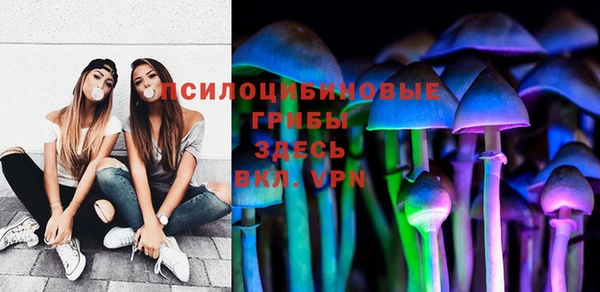стафф Лабытнанги