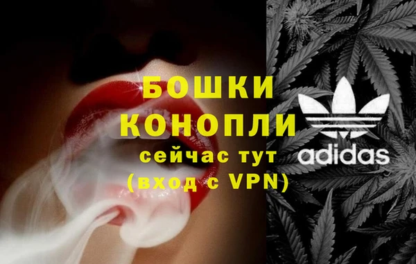 молекула духа Ладушкин