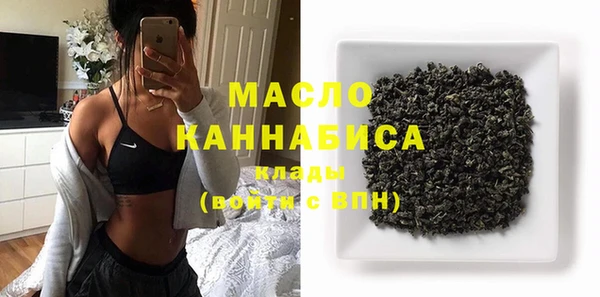 молекула духа Ладушкин