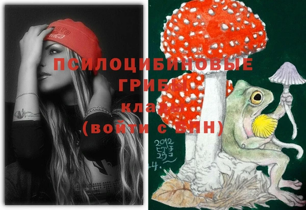 молекула духа Ладушкин