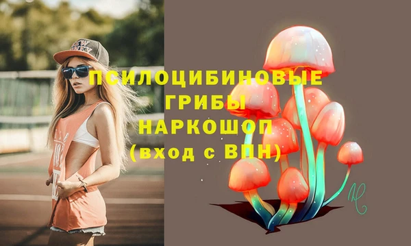 молекула духа Ладушкин