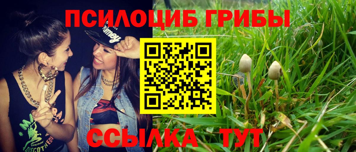 сколько стоит  Вход с VPN  Учалы  Галлюциногенные грибы мицелий 