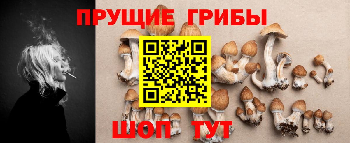 Псилоцибиновые грибы GOLDEN TEACHER Учалы